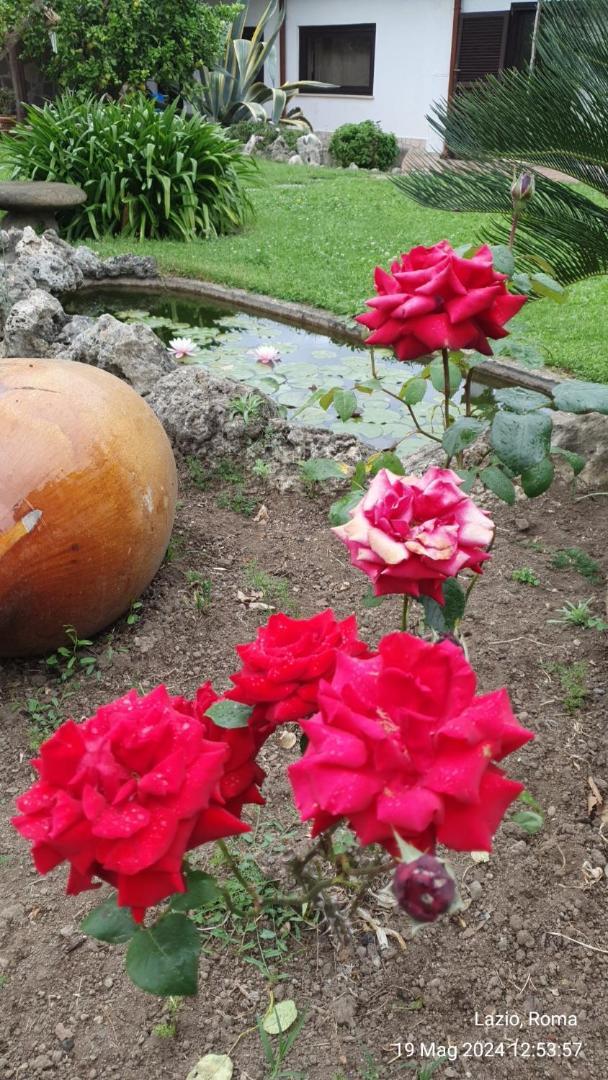 Casetta Delle Fiabe Rzym Zewnętrze zdjęcie